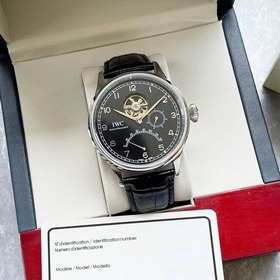 IWC, швейцарские часы для мужчин, многофункциональный дизайн Элег