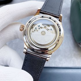 IWC, швейцарские часы для мужчин, многофункциональный дизайн Элег