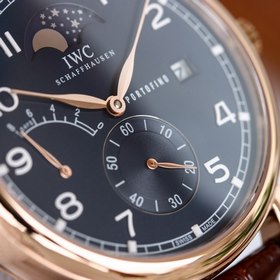 IWC Long Power Reserve Moon Phase Expert Серия Portofino IW51640