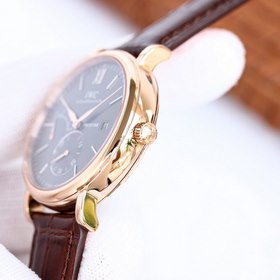 IWC Long Power Reserve Moon Phase Expert Серия Portofino IW51010