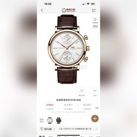 IWC Палермо, серия chronograph, автоматический часы 1 «Корпус» из