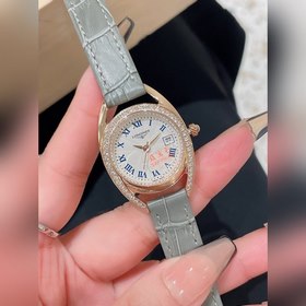 Женские часы Longines - серия Equestrian Steel Вдохновленные спор