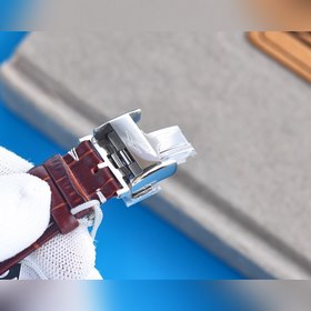 Longines Master Collection, ежегодная обновленная версия Серия Ma