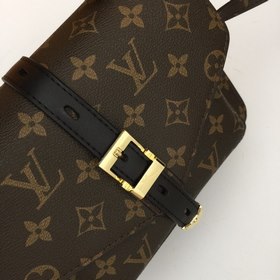 LV Сумка через плечо из ткани с классическим узором, модель 66823