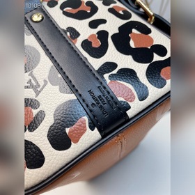 LV Модель M45840 Коричневая сумка Speedy Bandoulière 25 В осенне