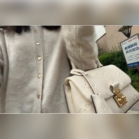 LV Модель M46008 MADELEINE BB сумка