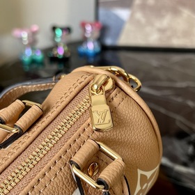 LV Nano Speedy сумка, модель M81456, коричневая с шелкографией  