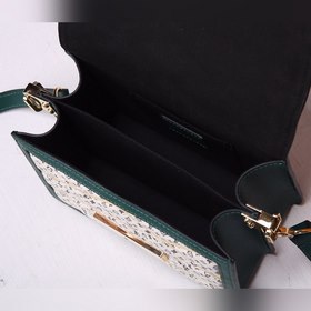 Сумка LV MINI DAUPHINE Модель： М53996 Тонкая стеганая ткань Malle