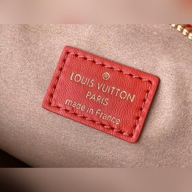 LV Coussin маленькая сумка, модель M20761, терракотовый цвет Эта