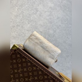 Сумка LV Speedy Bandoulière 20, модель M46163, тиснение Сумка Sp