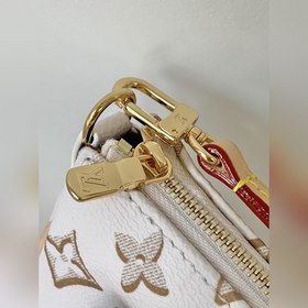 Сумка LV BUCI Сумка через плечо Эта сумка Buci изготовлена из з
