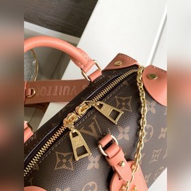 LV Модель M45531 Розовый Черный Petite Malle Souple Сумка Изгото