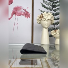 Короткий кожаный бумажник LV Grey Flower Названный в честь Slend