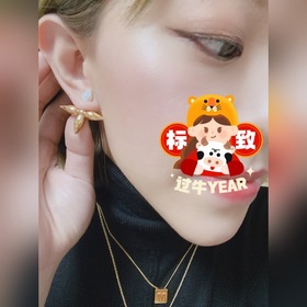 Новые серьги LV Действительно впечатляющий дизайн, идеальное испо
