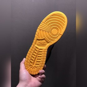 Nk Dunk Low Retro SE SB низкие кроссовки для спорта и отдыха 3042