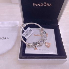 Браслет Pandora. Браслет Pandora. . Каждый аксессуар браслета Pan