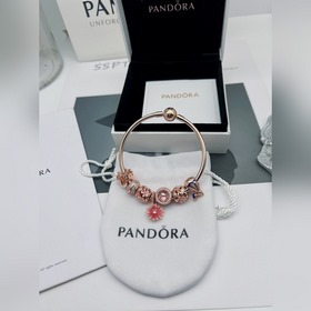 Браслет Pandora Каждый аксессуар браслета Pandora имеет свое знач