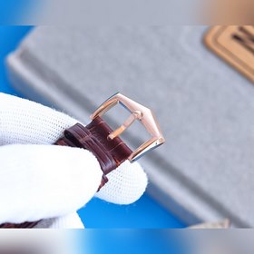 Команда часовщиков Patek Philippe впервые создала мужские часы с 