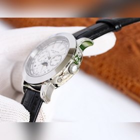 Часы Patek Philippe из серии Super Complications 5073P_010 Тщател