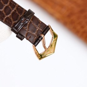 Оverseas Edition с гравировкой от Patek Philippe представляет вам