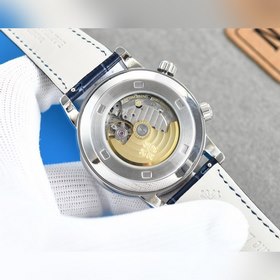 Patek Philippe 6102 | 6104 Серия суперсложных функций / Серия «Же