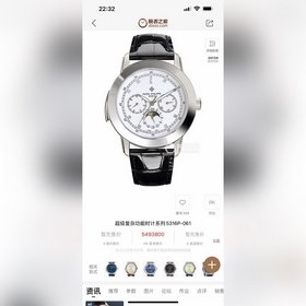 Часы Patek Philippe из серии Super Complications 5073P_010 Тщател