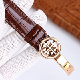 Часы Patek Philippe из серии Super Complications 5073P_010 Тщател