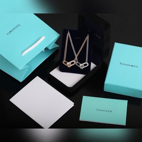 Двойное колье с кольцамиз серии Tiffany HardWear Двойные кольца с