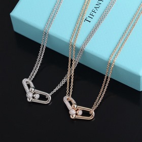 Двойное колье с кольцамиз серии Tiffany HardWear Двойные кольца с