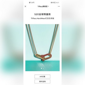 Tiffany HardWear Рубиновое колье с двойным звеньем и бриллиантами