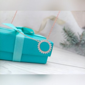 Колье Tiffany с круглым бриллиантом Серебряное колье Tiffany Els
