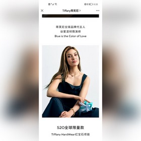 Tiffany HardWear Рубиновое колье с двойным звеньем и бриллиантами
