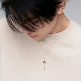 Tiffany Keys серия Ирис Красный сердолик Колье с ключами, полност