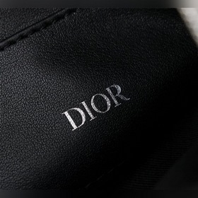 Dior OBLIQUE клатч Модель： 2OBCA225-1YSE (синий с узором) Бежевы