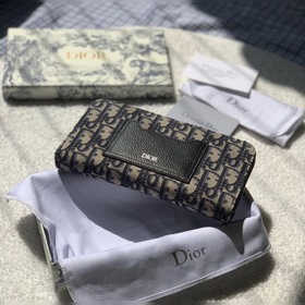 Мини-кошелек с длинной застежкой-молнией и синим принтом Dior Obl