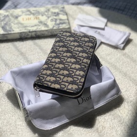 Мини-кошелек с длинной застежкой-молнией и синим принтом Dior Obl