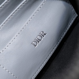 Мужская сумка Dior, модель D8008 Эта сумка Dior Lingot является 