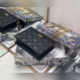 Dior Caro Цепочная сумка Модель 3102  Размеры： 19 x 14 x 3 см