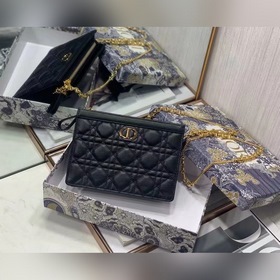 Dior Caro Цепочная сумка Модель 3102  Размеры： 19 x 14 x 3 см