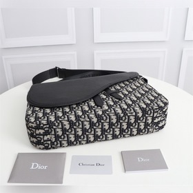 DIOR Мужская сумка через плечо Модель： 1ADME113YKS Абрикосовый ц