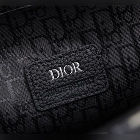 DIOR Мужская сумка через плечо Модель： 1ADME113YKS Абрикосовый ц