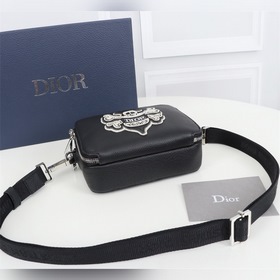 Мужская сумка через плечо DIOR Модель： 1PUBC119 (вышивка виде пче