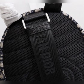 Сумка-рюкзак DIOR Вдохновленный сумкой Rider, этот рюкзак отличае