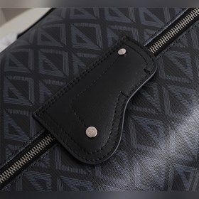 Dior Lingot 50 чемодан Модель： 1ADDU115YKY_H27E Черный холст Сум