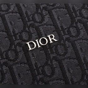 Сумка Dior Oblique, модель 9053 Сумка для багажа Dior Oblique с у