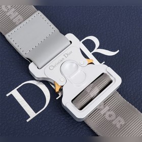 DIOR Сумка на грудь Модель： 1ADPO093 (гладкая кожа серого цвета)