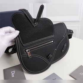 Dior Мужская сумка через плечо/нагрудная сумка SADDLE Модель： 1A