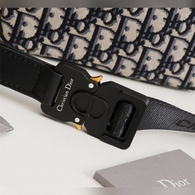DIOR Поясная сумка-седло Модель： 1ADPO223YKY_H27E Эта сумка-поясн