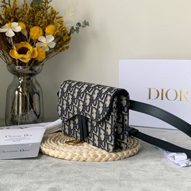 Dior Saddle Oblique Сумка-пояс из парусины с узором «фейерверк» 