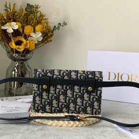 Dior Saddle Oblique Сумка-пояс из парусины с узором «фейерверк» 